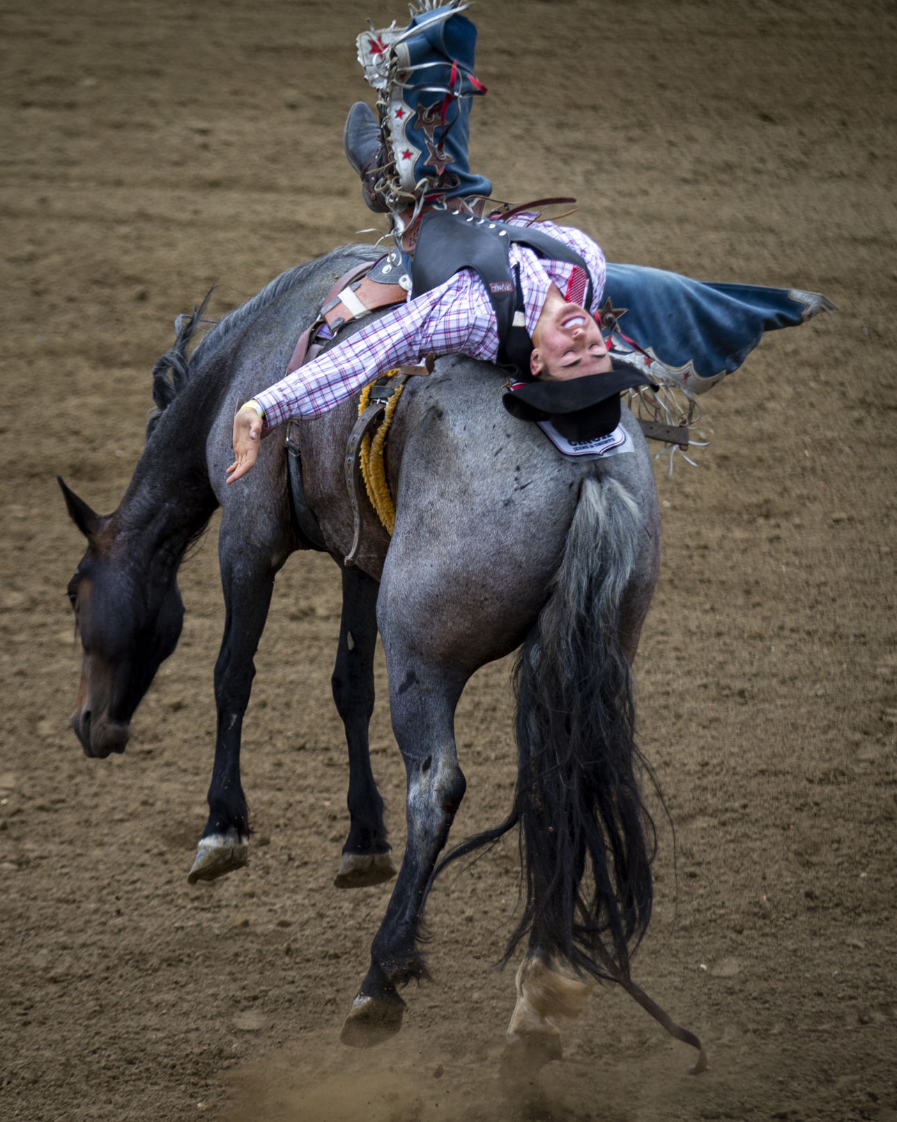 Montana High School Rodeo Association state championships